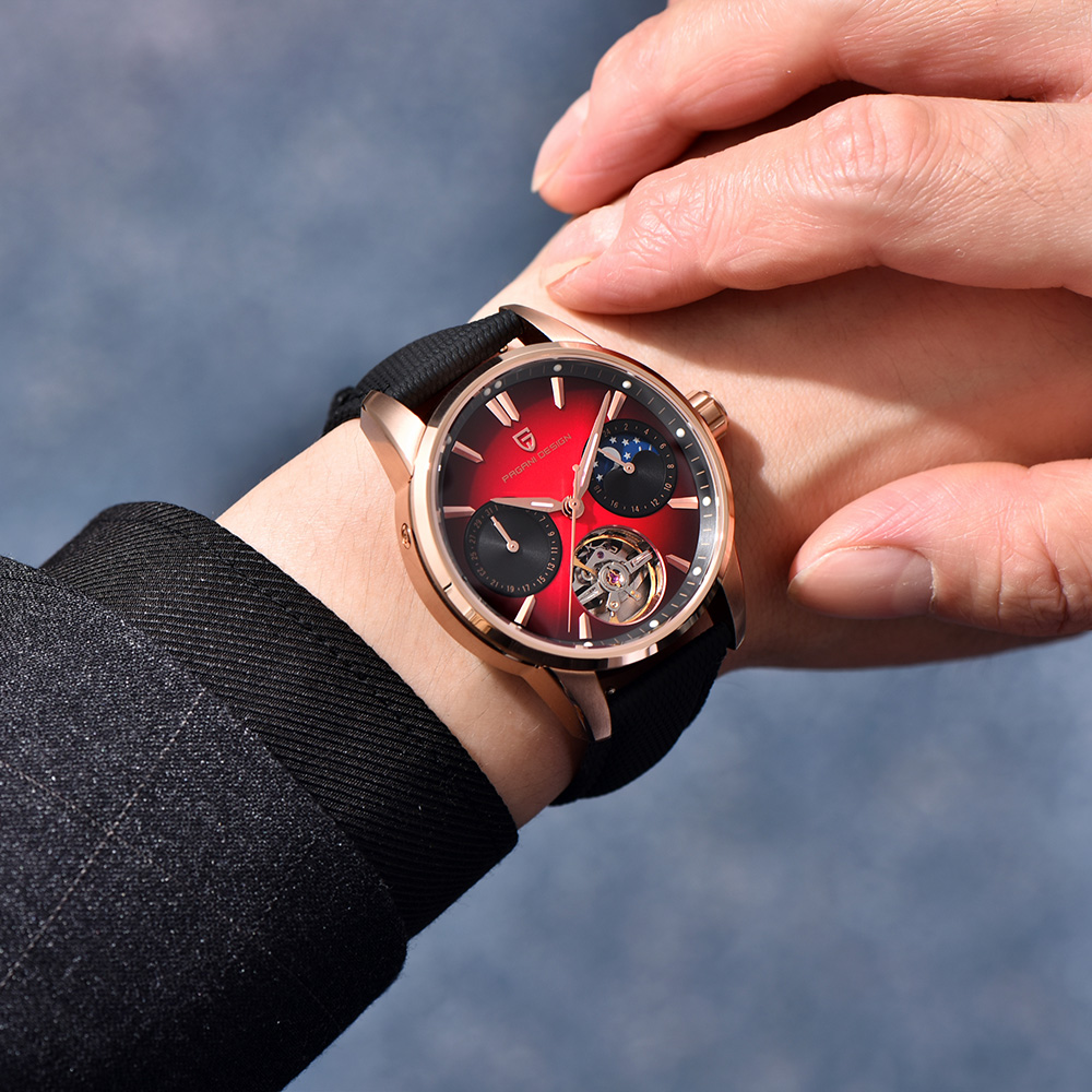 Relojes PAGANI DESIGN 2025, Re - Mens Mechanical Watch reseña y precio
